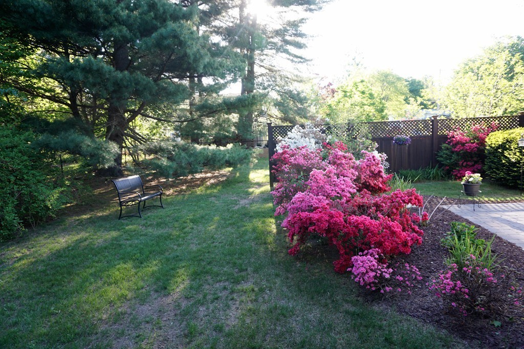 21 Berkeley Road Framingham, MA 01701 - Photo 21 of 30 Gallery Image 21