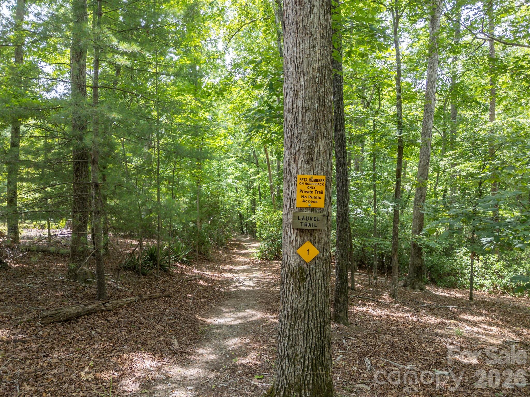 441 Lower Ridgeview Road Columbus, NC 28722 - Photo 4 of 48
