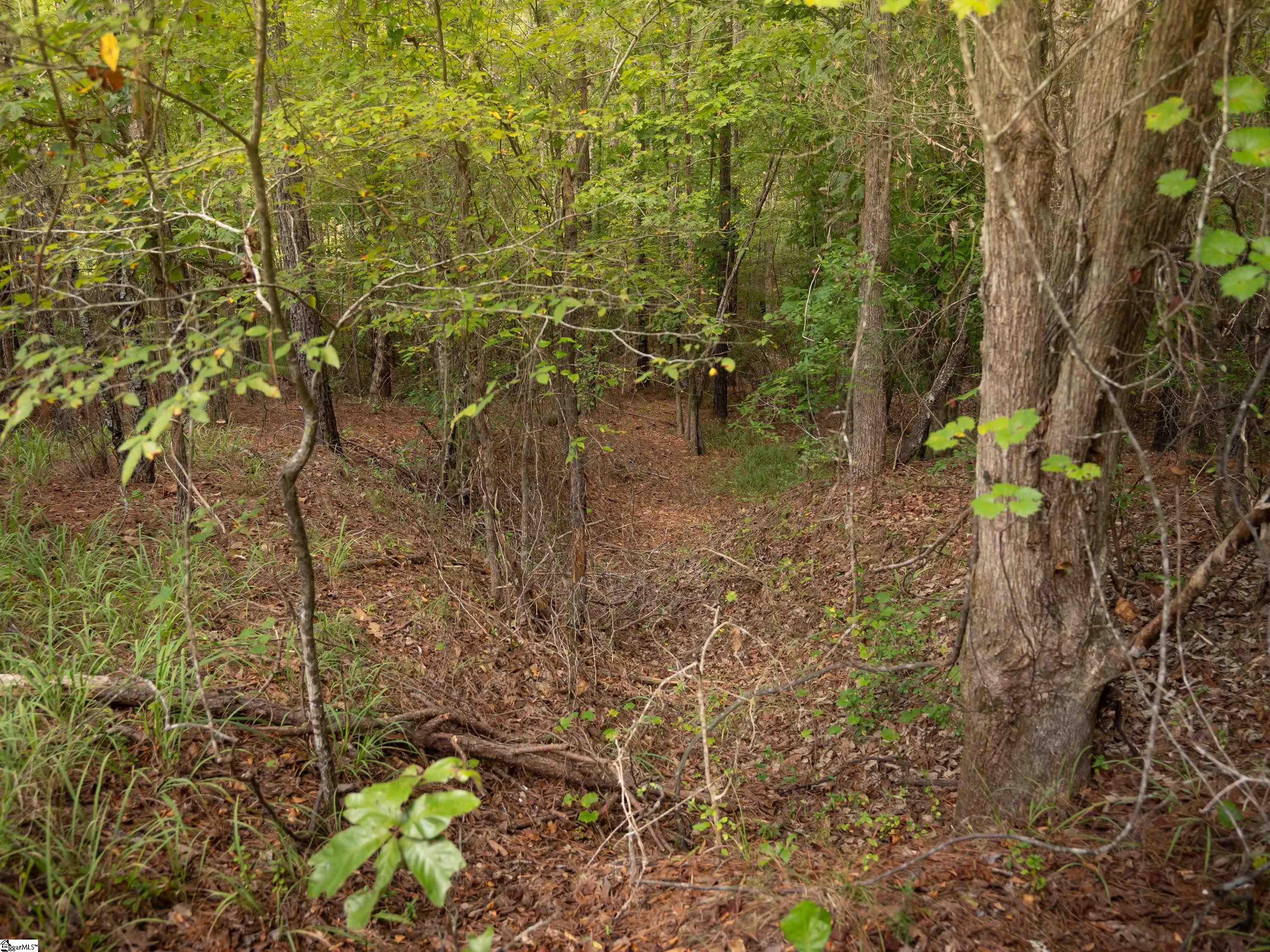 5 Neal Shoals Road Union, SC 29379 - Photo 39 of 48