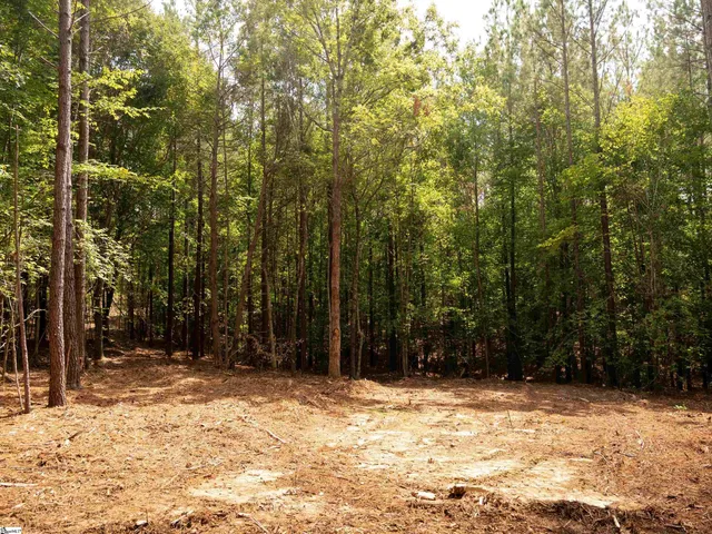 $105,000 | 5 Neal Shoals Road, Union, SC 29379