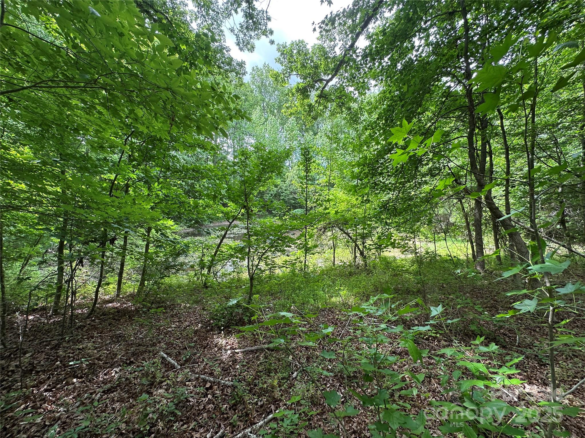 455 Running Brook Road Midland, NC 28107 - Photo 6 of 6 a view of a lush green forest
