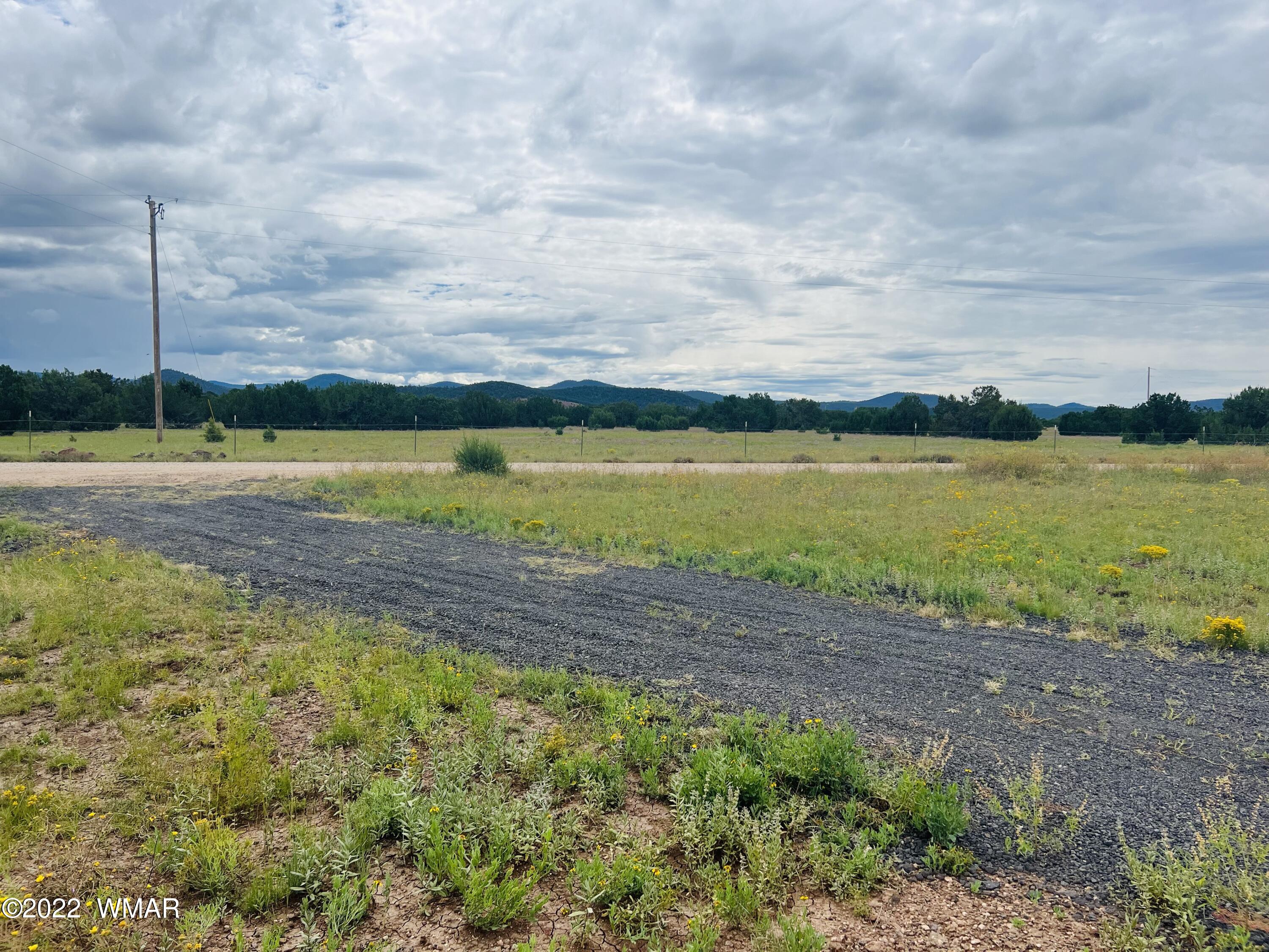 131 County Road Show Low, AZ 85901 - Photo 35 of 40