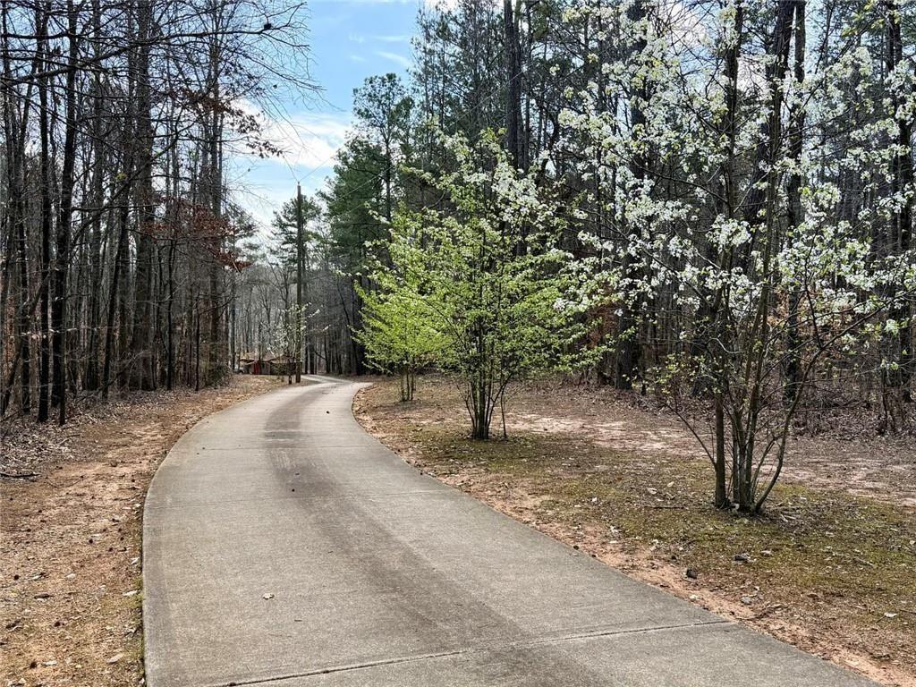9011 High Point Road Villa Rica, GA 30180 - Photo 5 of 68 a view of a yard with large trees