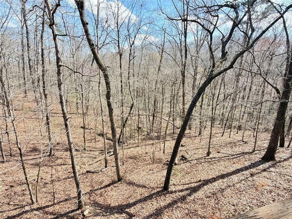 9011 High Point Road Villa Rica, GA 30180 - Photo 57 of 68