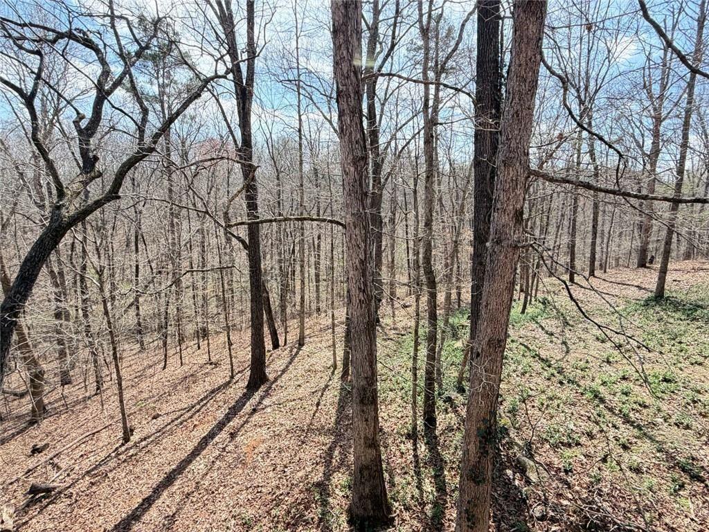 9011 High Point Road Villa Rica, GA 30180 - Photo 59 of 68 a backyard of a house with lots of green space