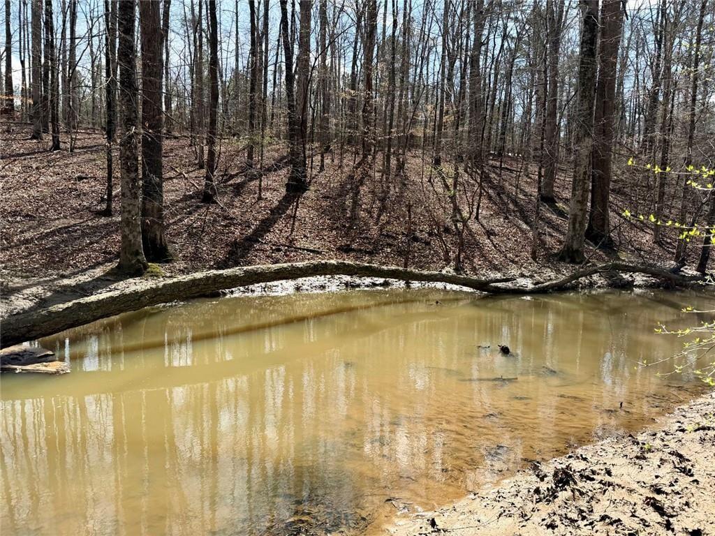 9011 High Point Road Villa Rica, GA 30180 - Photo 61 of 68