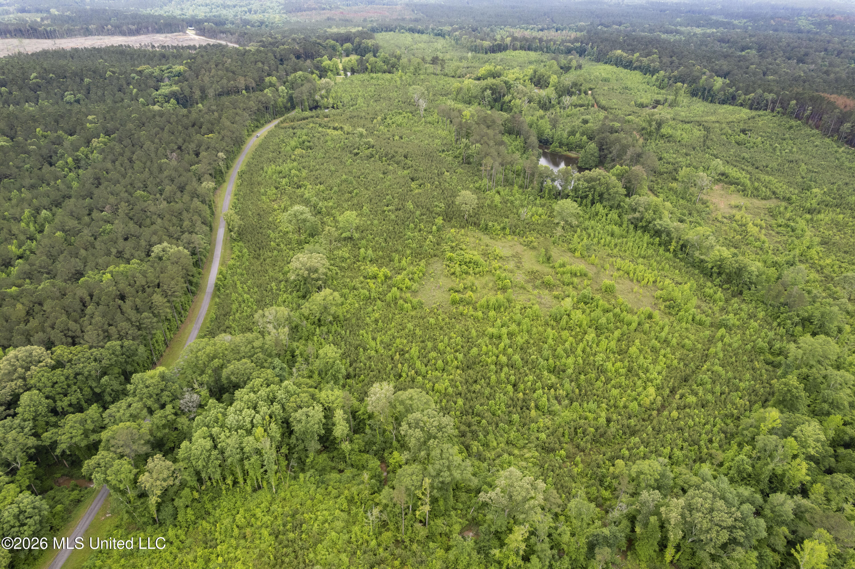 13 Co Road Louin, MS 39338 - Photo 22 of 29 DJI_0240