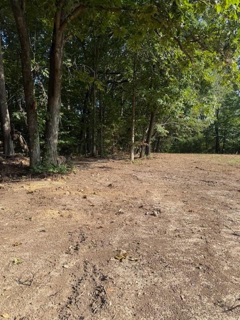 154 Co Road Niota, TN 37826 - Photo 6 of 9 Gallery Image 6