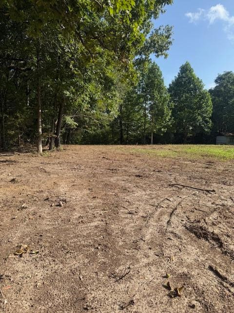 154 Co Road Niota, TN 37826 - Photo 7 of 9 Gallery Image 7