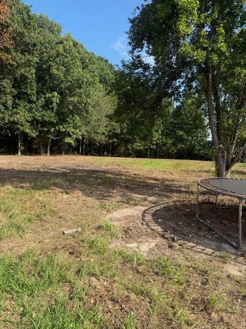 154 Co Road Niota, TN 37826 - Photo 8 of 9 Gallery Image 8