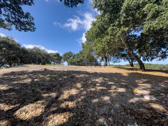 a view of dirt field with trees around