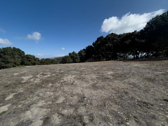 a view of backyard and outdoor space