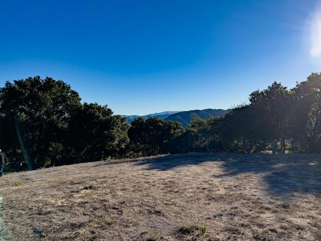 a view of empty field with large trees