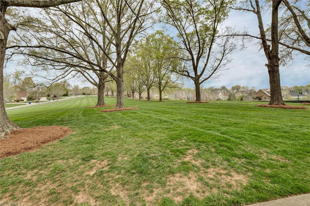 831 Osprey Ridge Road Winston-Salem, NC 27106 - Photo 45 of 48 Gallery Image 45