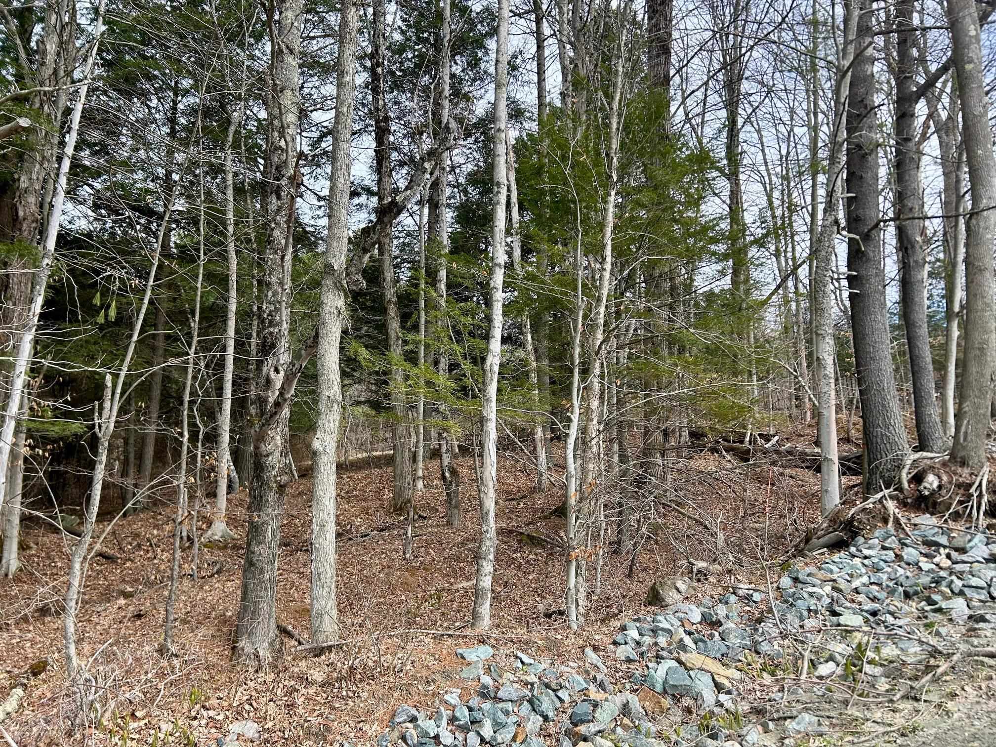 0 Dairy Hill Road South Royalton, VT 05068 - Photo 11 of 12