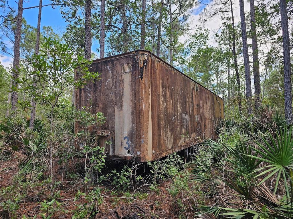 804 Shell Harbor Road Pierson, FL 32180 - Photo 25 of 27 a view of a backyard with plants