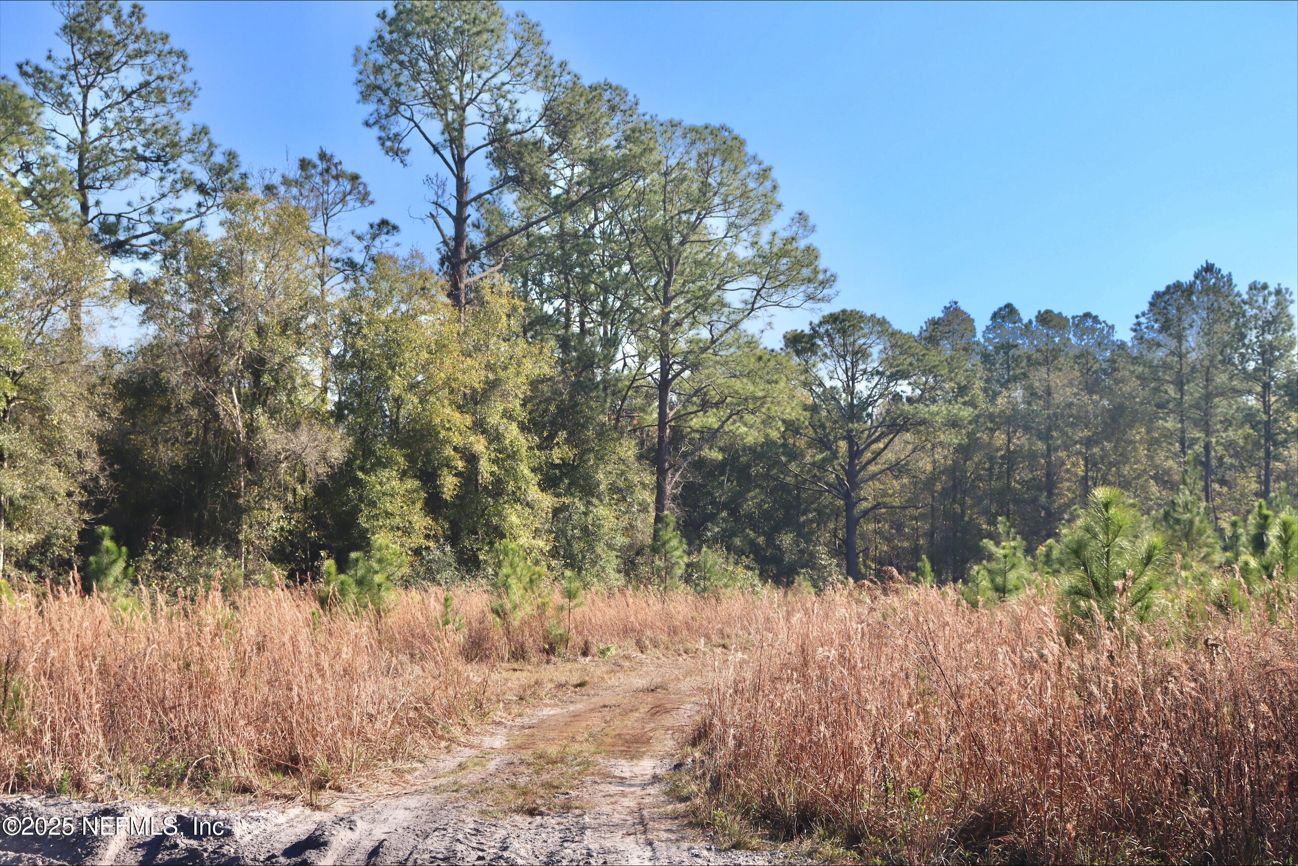 2989 Usina Road St. Augustine, FL 32084 - Photo 1 of 9 Inside the property