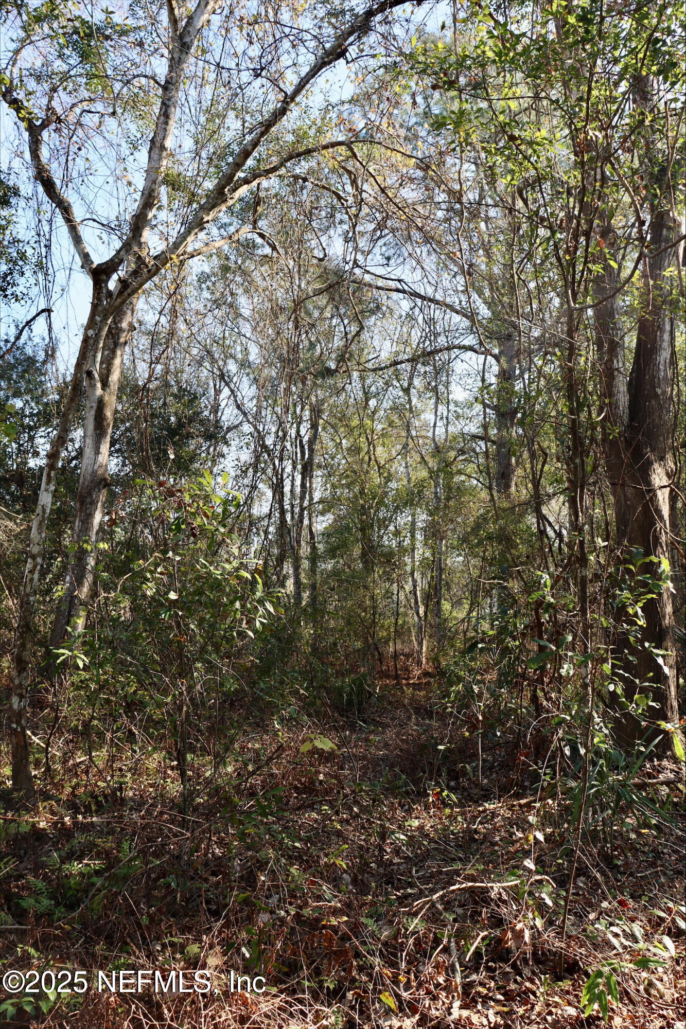 2989 Usina Road St. Augustine, FL 32084 - Photo 3 of 9 processed-927C5DA2-0043-41B0-82FC-BCB2E0