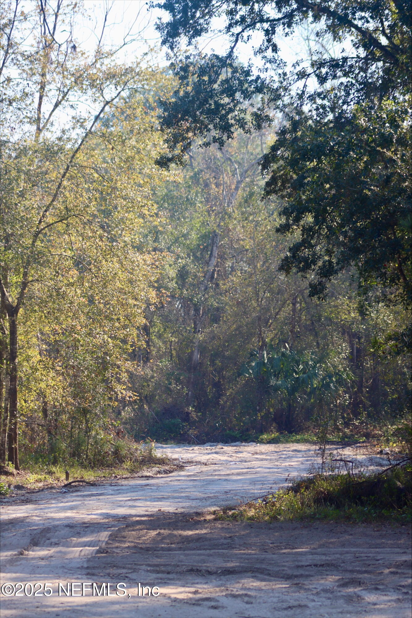 2989 Usina Road St. Augustine, FL 32084 - Photo 4 of 9 processed-AAD9BF44-9C1B-4D70-BA74-1D93D0