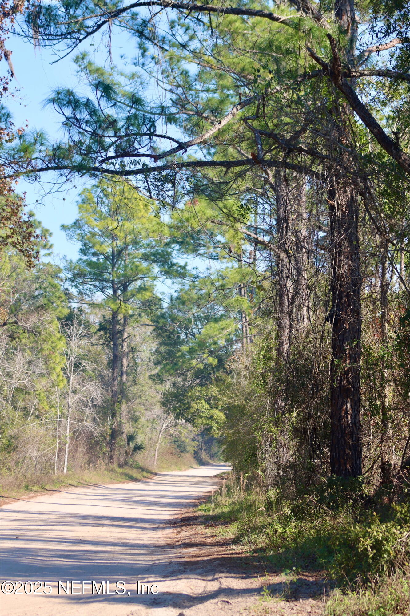 2989 Usina Road St. Augustine, FL 32084 - Photo 5 of 9 processed-F3803470-5B25-4232-9905-D56A78