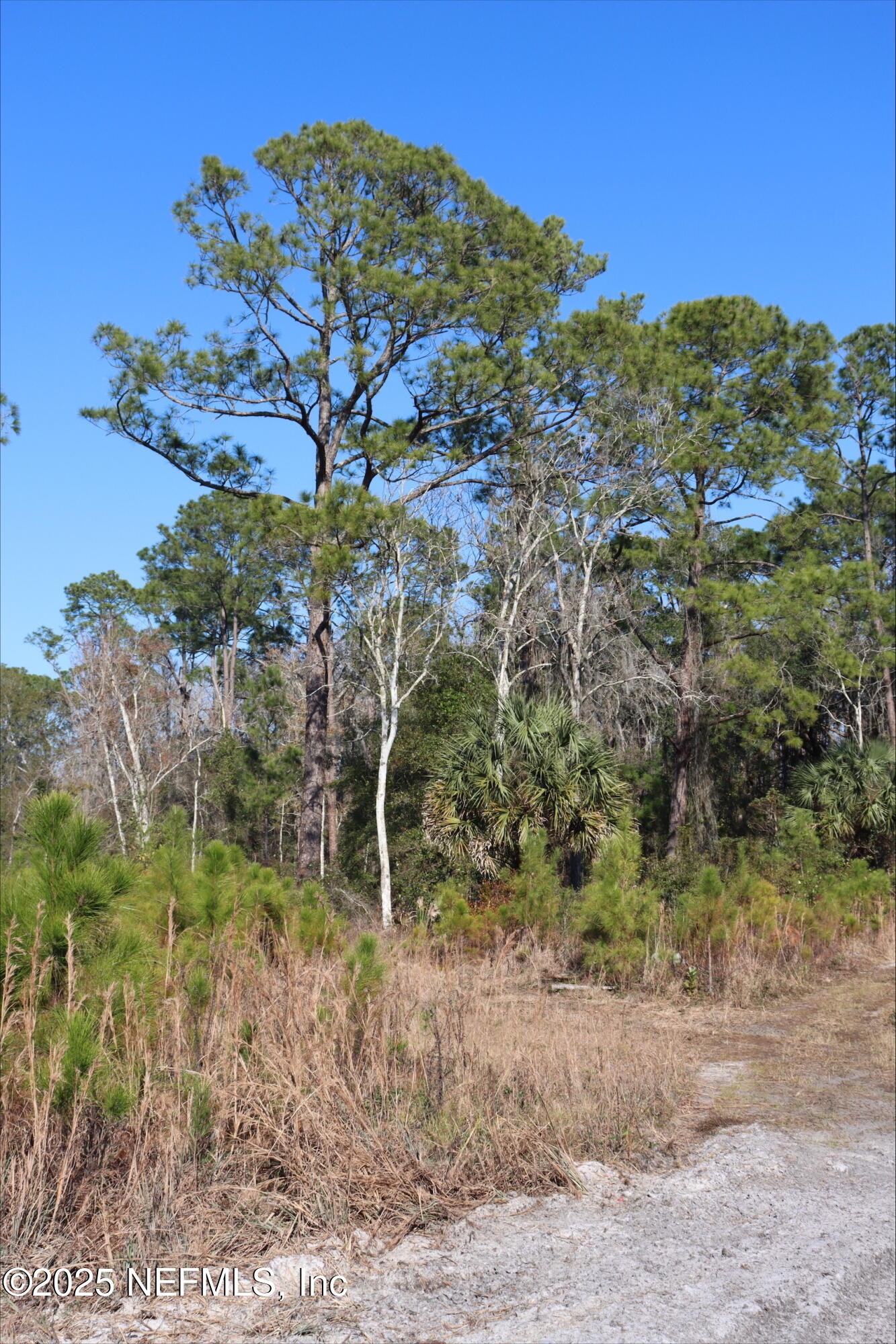 2989 Usina Road St. Augustine, FL 32084 - Photo 7 of 9 processed-972D5FC6-E9F0-433A-BECE-3B680A