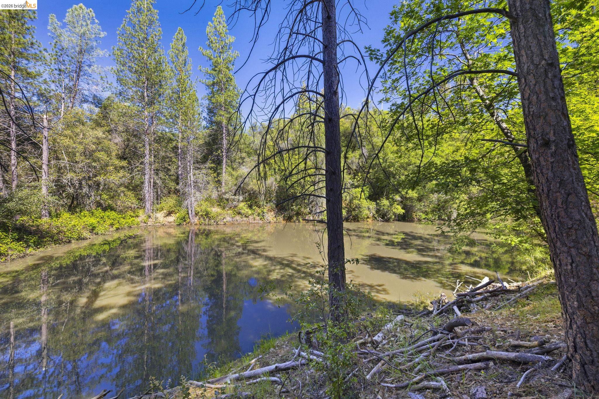 11640 Rambler Road Sonora, CA 95370 - Photo 33 of 45