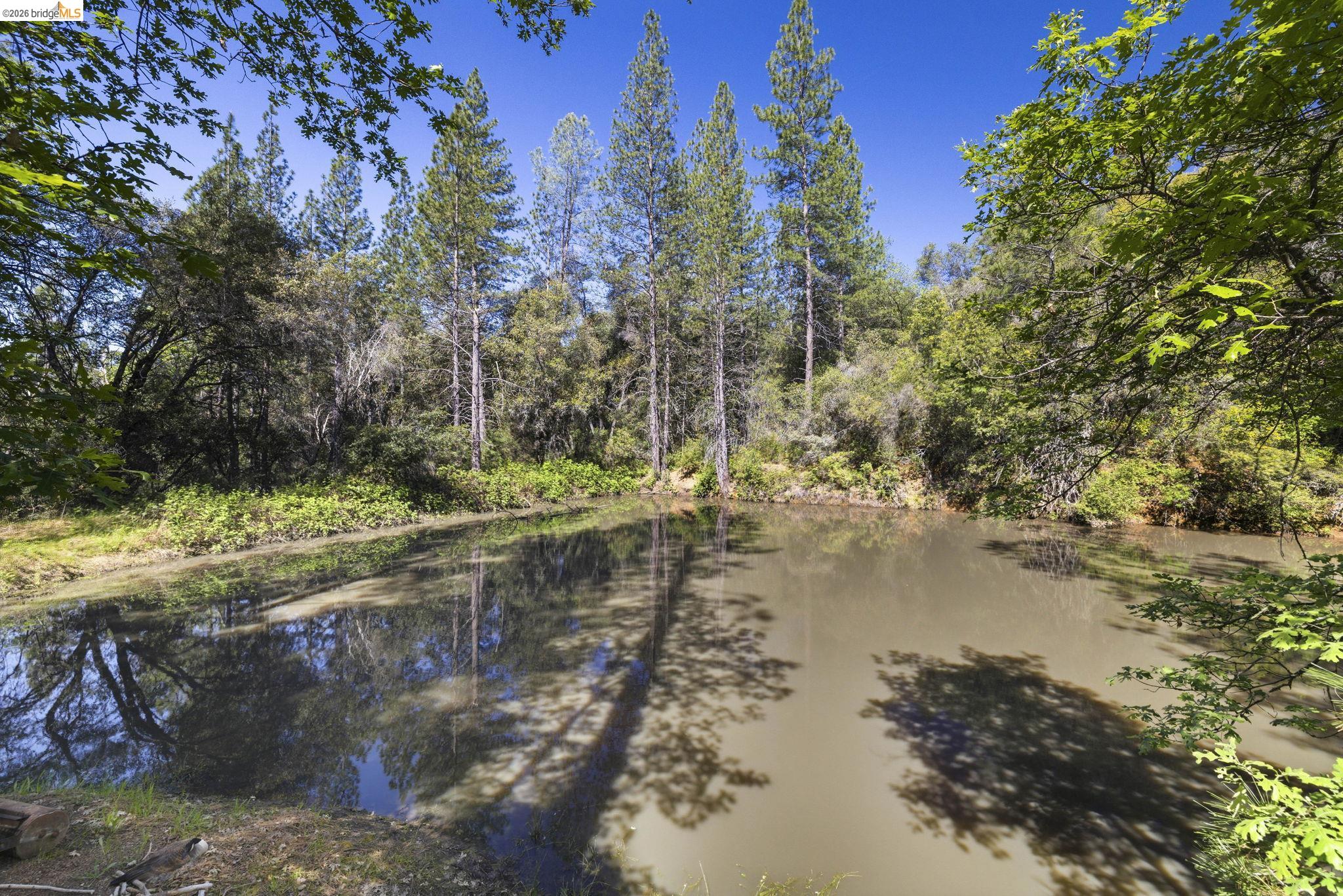 11640 Rambler Road Sonora, CA 95370 - Photo 34 of 45