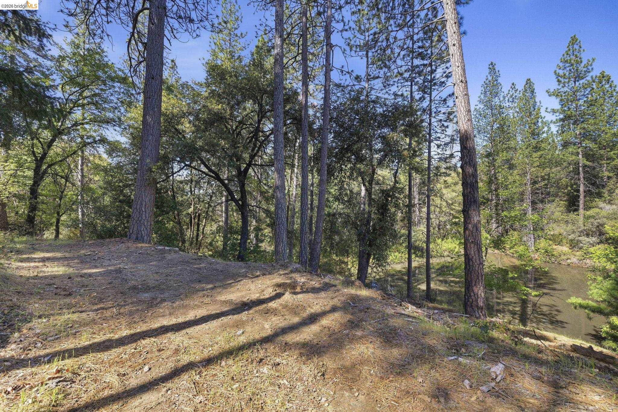 11640 Rambler Road Sonora, CA 95370 - Photo 36 of 45