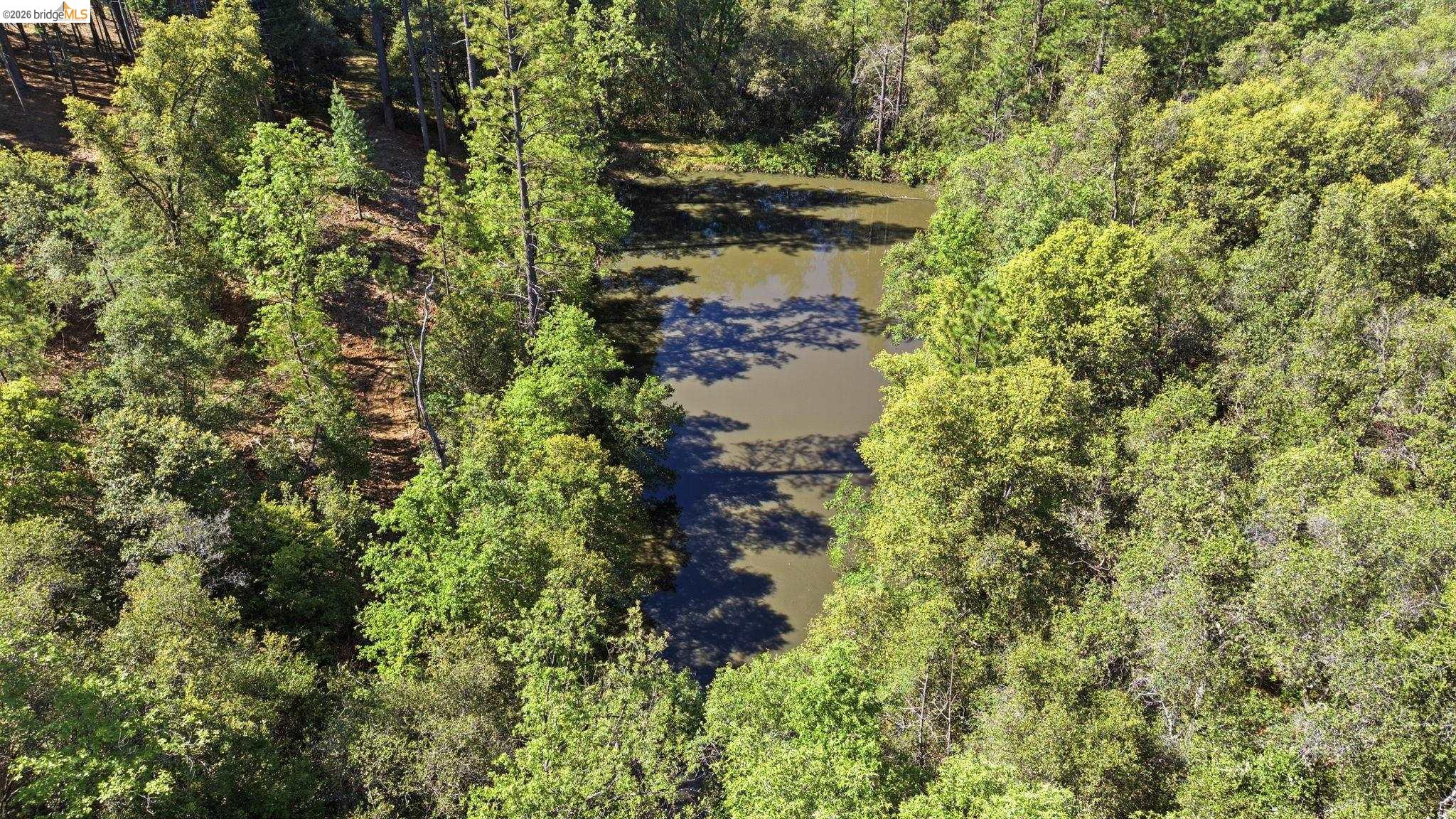 11640 Rambler Road Sonora, CA 95370 - Photo 40 of 45