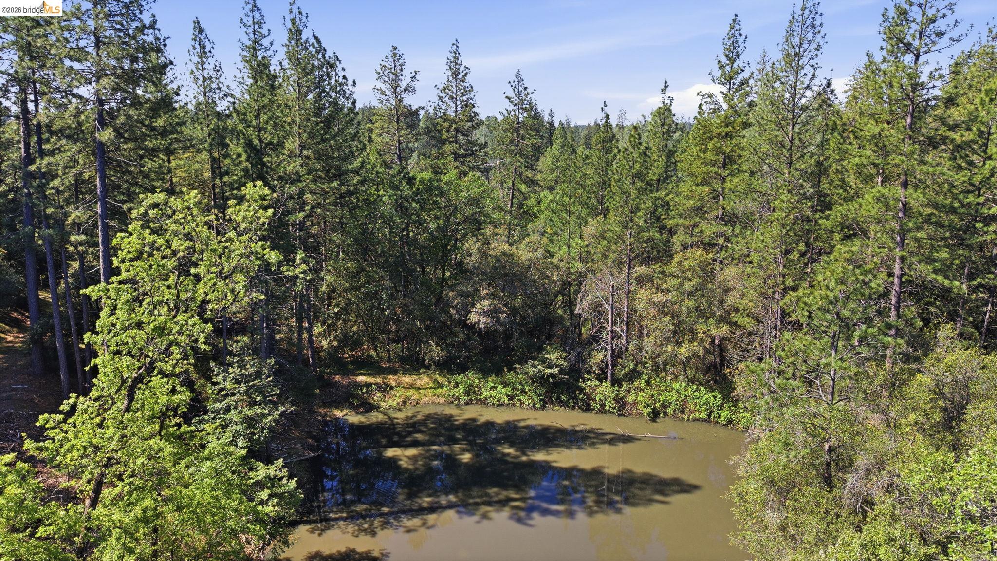 11640 Rambler Road Sonora, CA 95370 - Photo 41 of 45