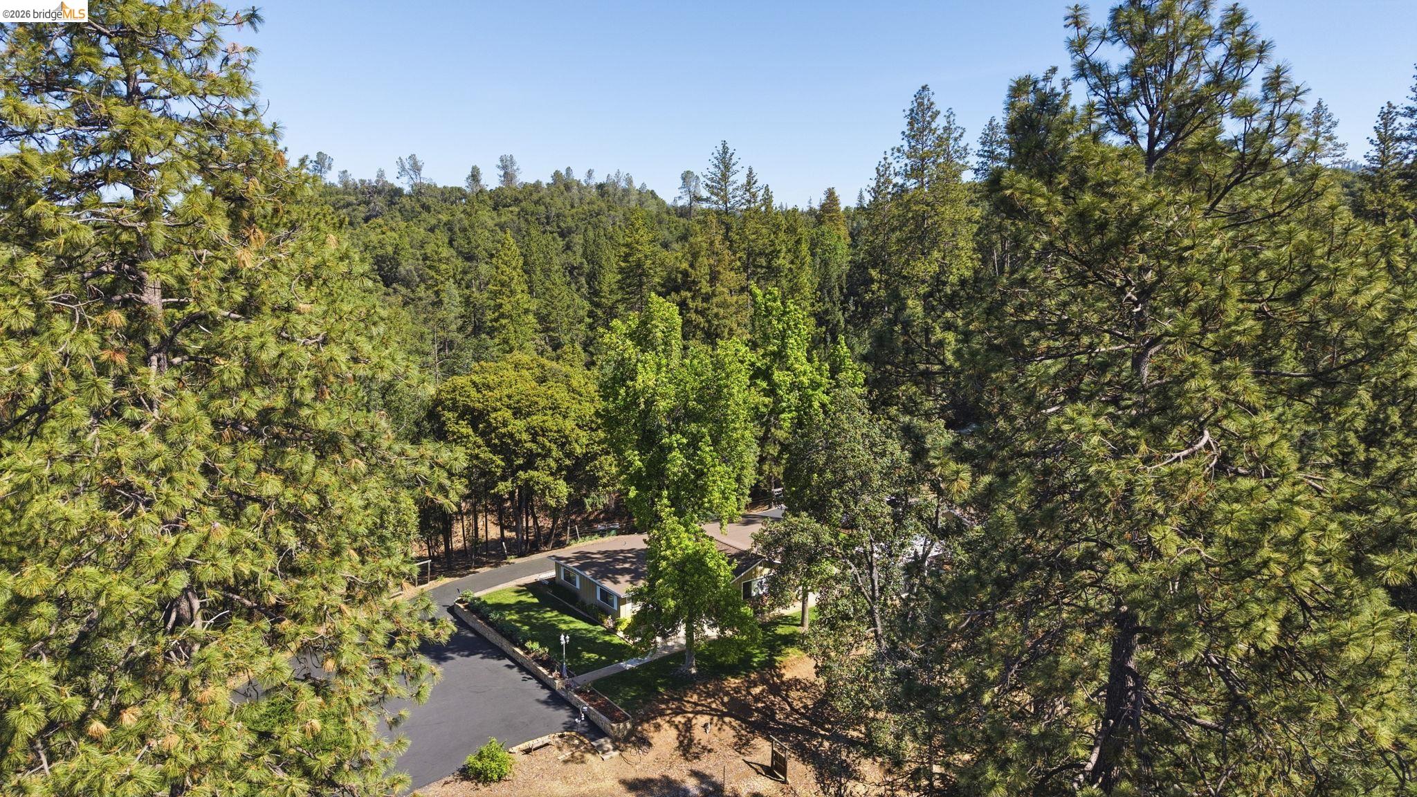 11640 Rambler Road Sonora, CA 95370 - Photo 44 of 45