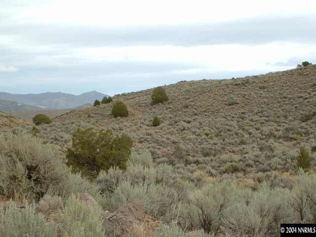 209 Alum Rock Road Reno, NV 89506 - Photo 1 of 1