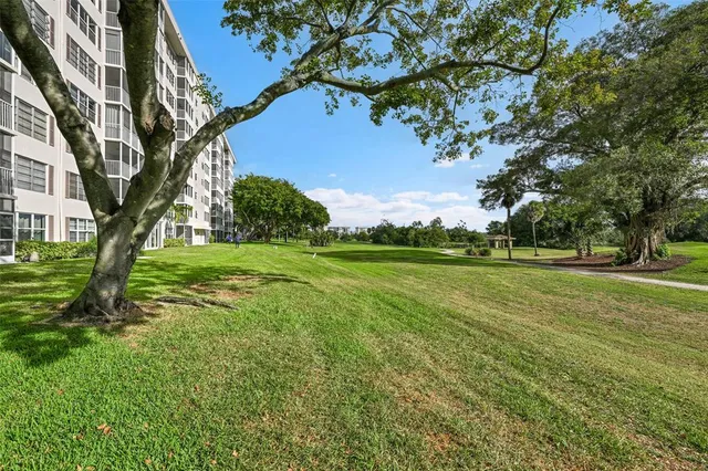 a view of a trees with a yard