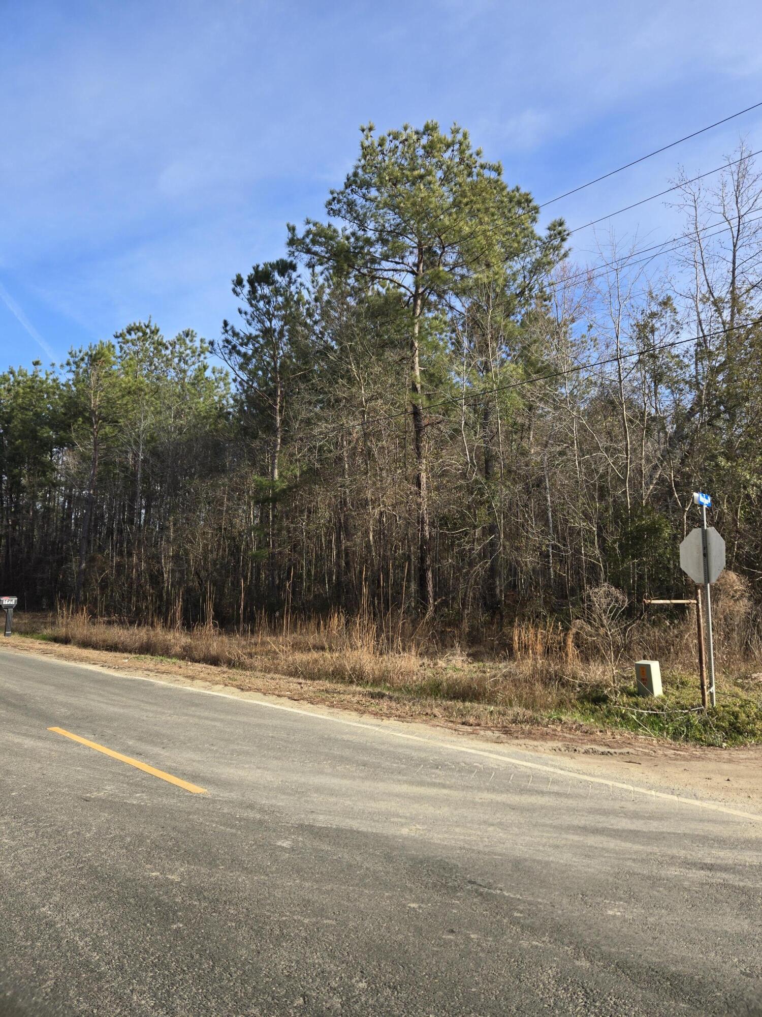0 Whitestone Drive Reevesville, SC 29471 - Photo 2 of 3 Lot 1 Whitestone2