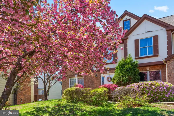 front view of a house with a tree