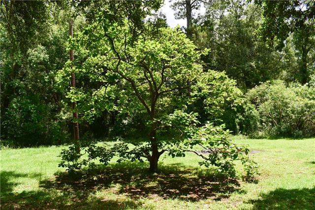 44486 Recile Lane Hammond, LA 70403 - Photo 25 of 27