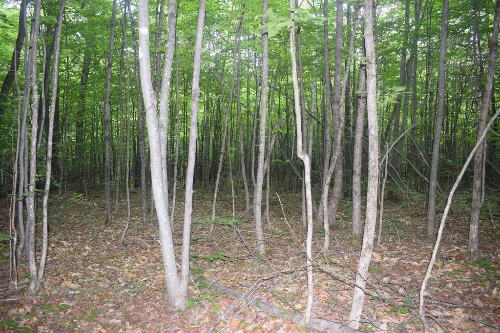 M11-l20-a Burns Road Anson, ME 04911 - Photo 10 of 12 Photo