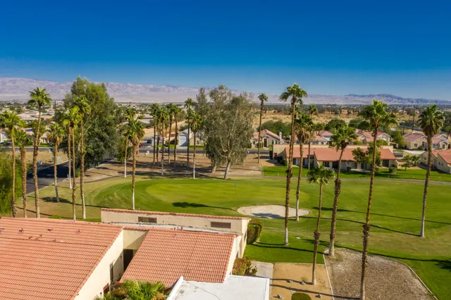 a view of a patio with table and chairs potted plants and palm tree