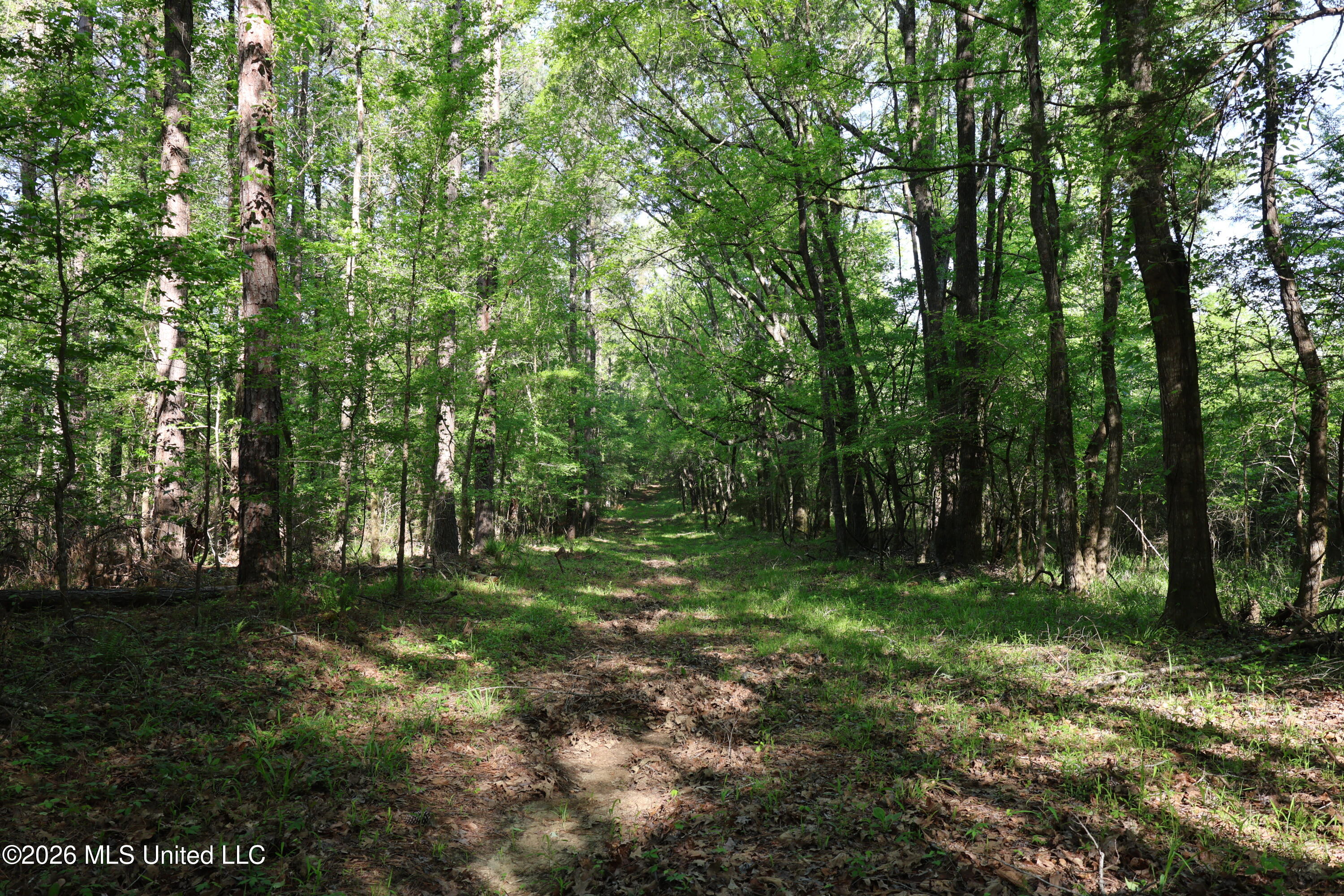 1060 Pearline Bailey Rd Port Port Gibson, MS 39150 - Photo 49 of 63 CF68F775-D46E-4304-A797-3CECC69915EC