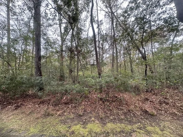 $29,900 | 66 Bull Point Drive, Seabrook, SC 29940