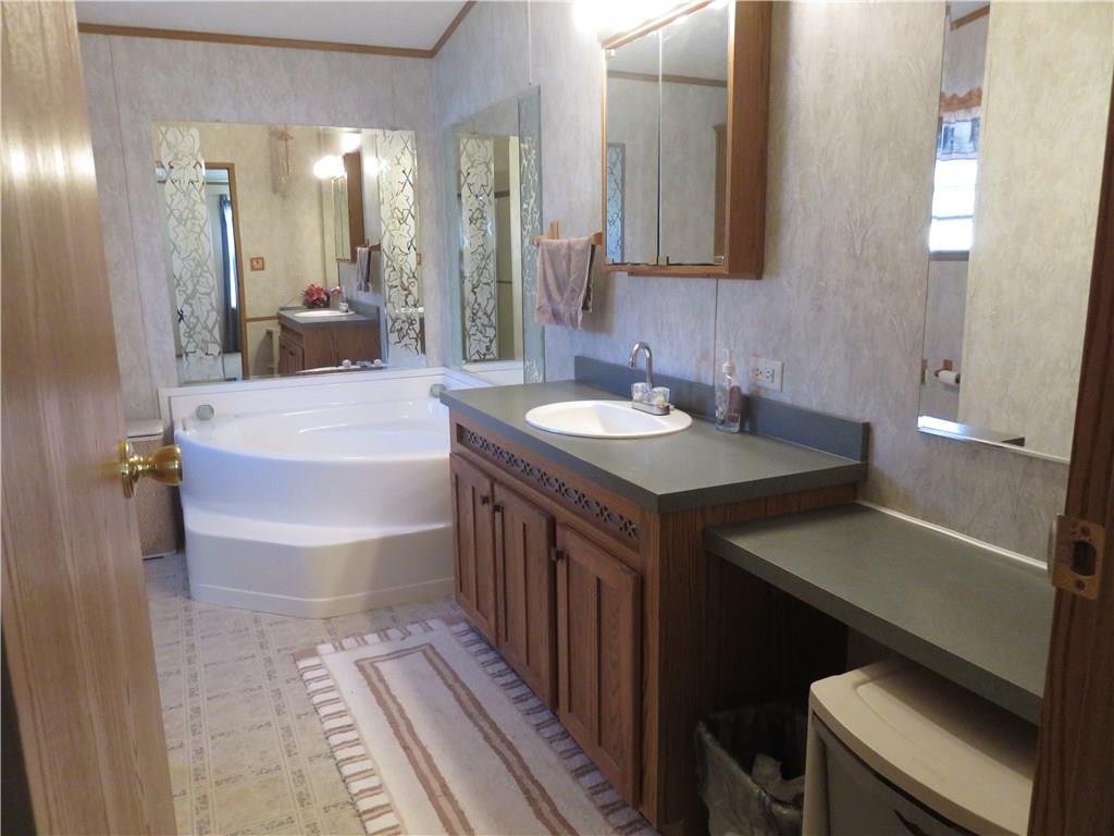 206 Sunbury Road Slippery Rock, PA 16057 - Photo 15 of 24 Step in soaking tub with jets, double vanity, plus a make up vanity in the master bath