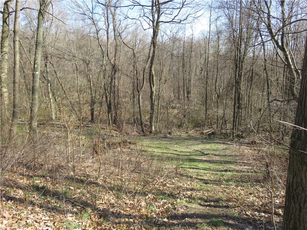 206 Sunbury Road Slippery Rock, PA 16057 - Photo 3 of 24 3.09 acres of your own woodlands, complete with pond and wildlife!