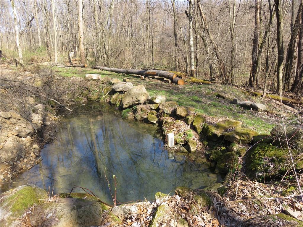 206 Sunbury Road Slippery Rock, PA 16057 - Photo 4 of 24 The spring fed pond also supplies the house water. Large pressure tank for the abundance of water, and an ultra violet system purifies the water.