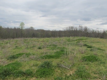 Fairview Church Road Smiths Grove, KY 42171 - Photo 15 of 34 Gallery Image 15