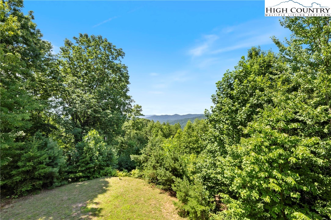 207 Carters Lane Purlear, NC 28665 - Photo 19 of 50 a view of a yard