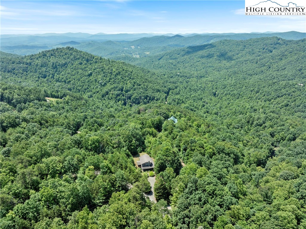 207 Carters Lane Purlear, NC 28665 - Photo 39 of 50 a view of a lush green forest with trees and mountains