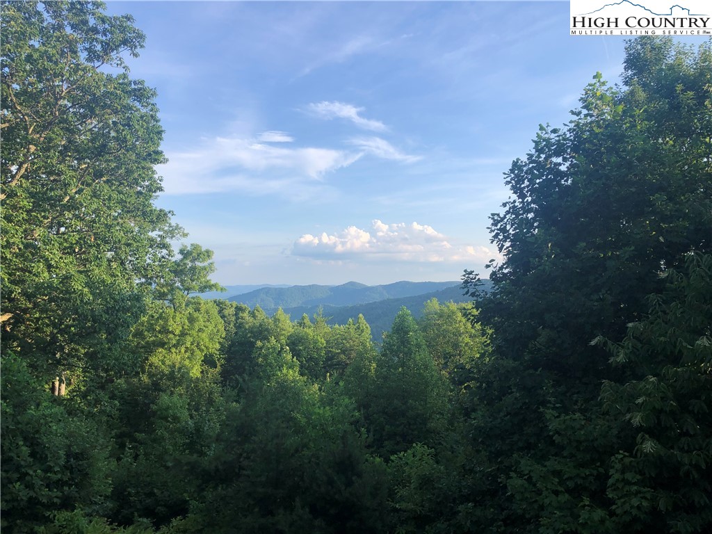 207 Carters Lane Purlear, NC 28665 - Photo 4 of 50