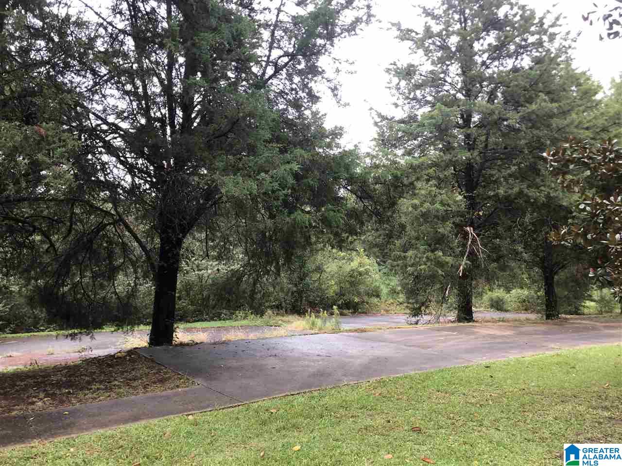 171 Carlson Road Wilsonville, AL 35186 - Photo 4 of 5