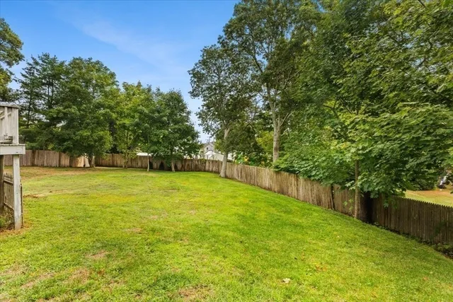 a view of a yard with trees