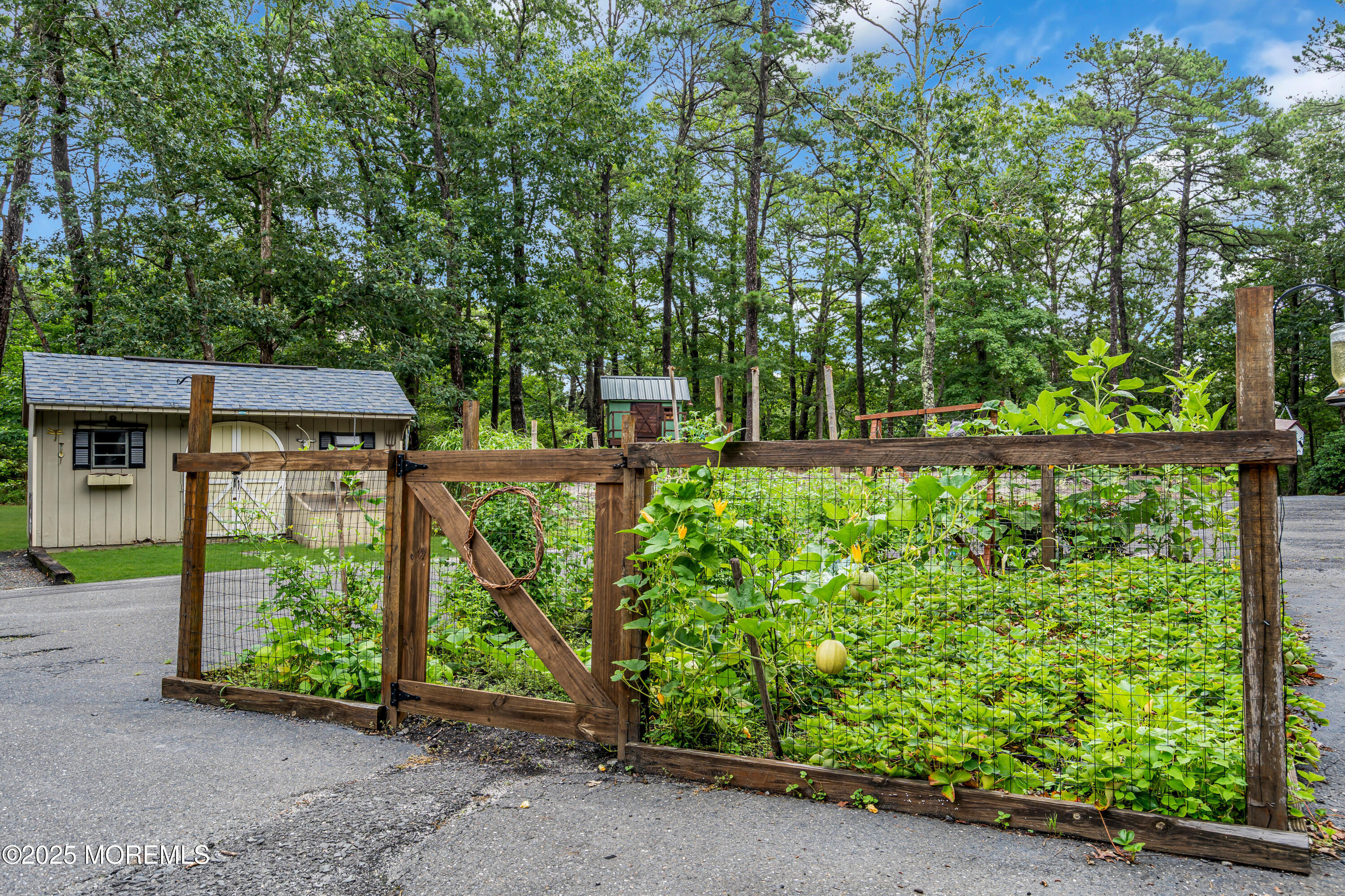 341 Stage Road Little Egg Harbor, NJ 08087 - Photo 57 of 71 057_dsc03988-1_378